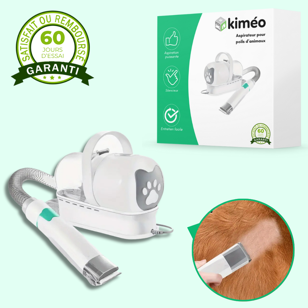 Aspirateur portable anti-poils – Élimine poils de chiens et chats sur tissus et meubles