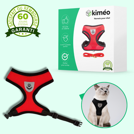 Harnais réglable avec laisse pour chat – Sécurité et confort en promenade