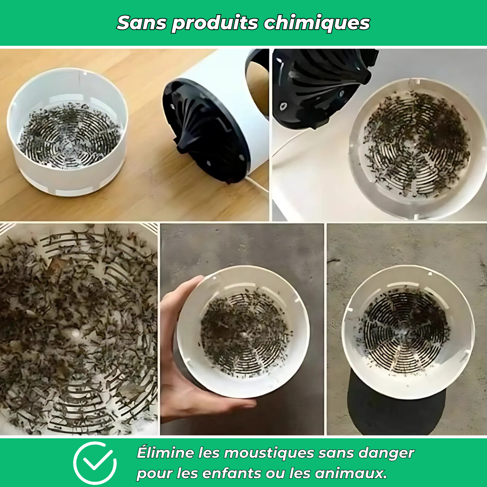 Lampe siphon anti-moustiques puissante et silencieuse