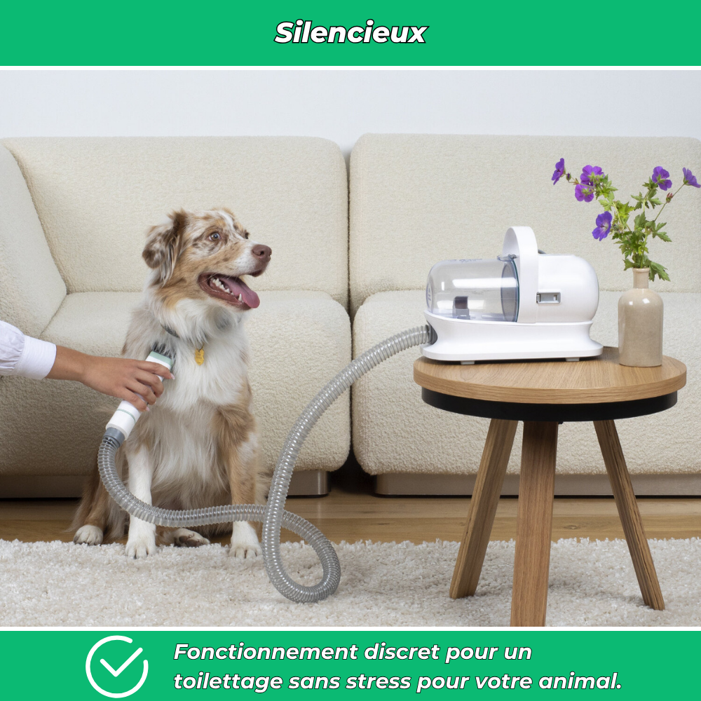 Aspirateur portable anti-poils – Élimine poils de chiens et chats sur tissus et meubles