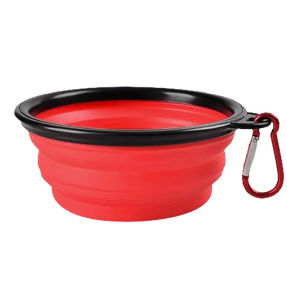 Gamelle pliable pour chiens et chats