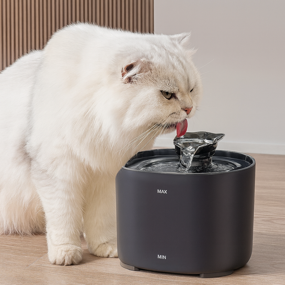 AquaPure - Fontaine à eau pour chat 2.2L ultra-silencieuse (USB)