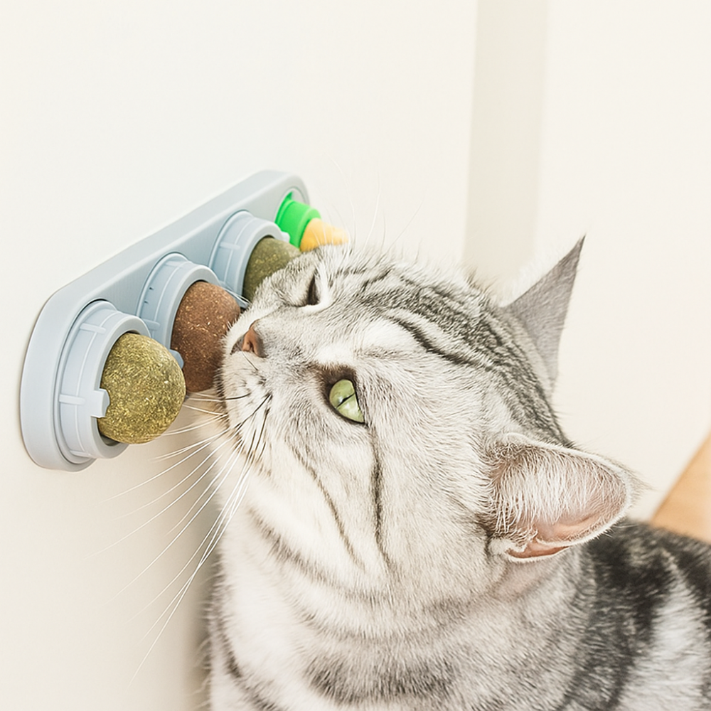 VetiChat – Jouet mural à l’herbe à chat naturelle