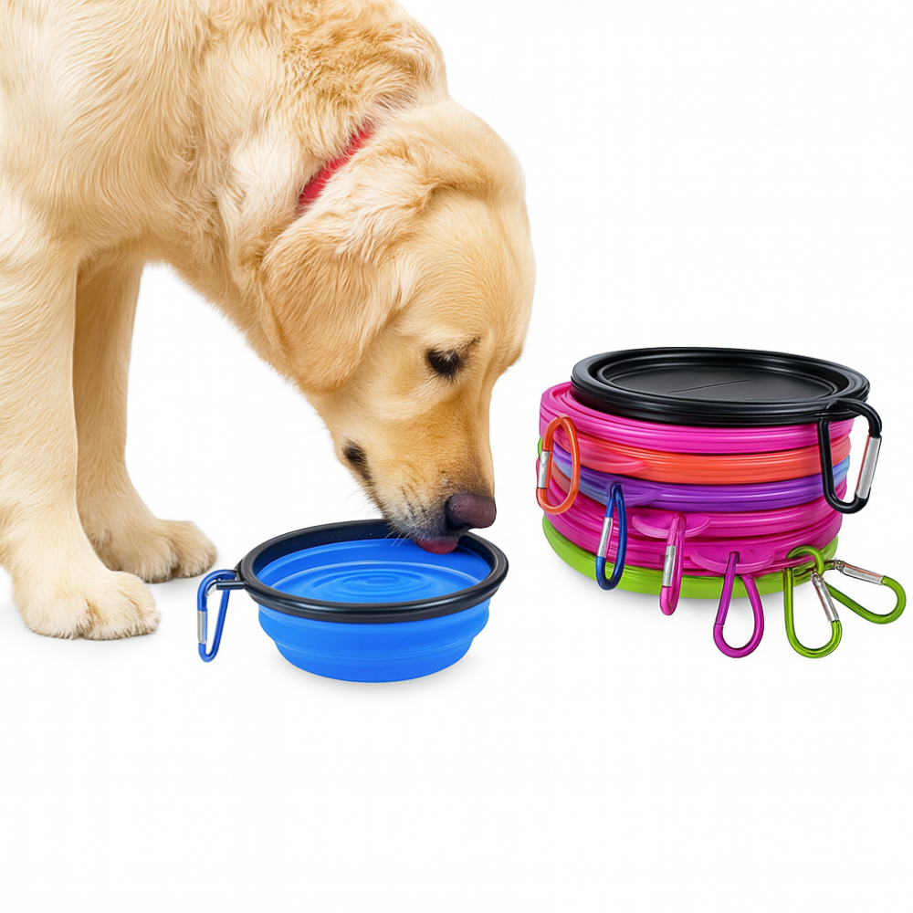 Gamelle pliable pour chiens et chats