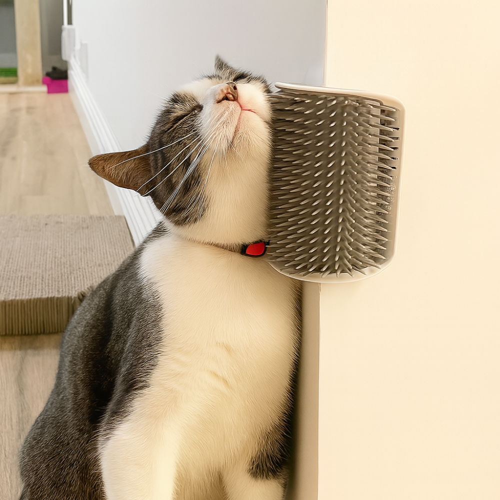 Brosse murale massante pour chat