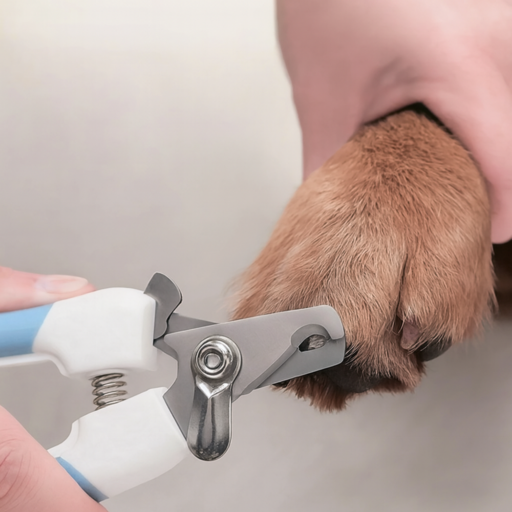Coupe-griffes ergonomique pour chiens et chats
