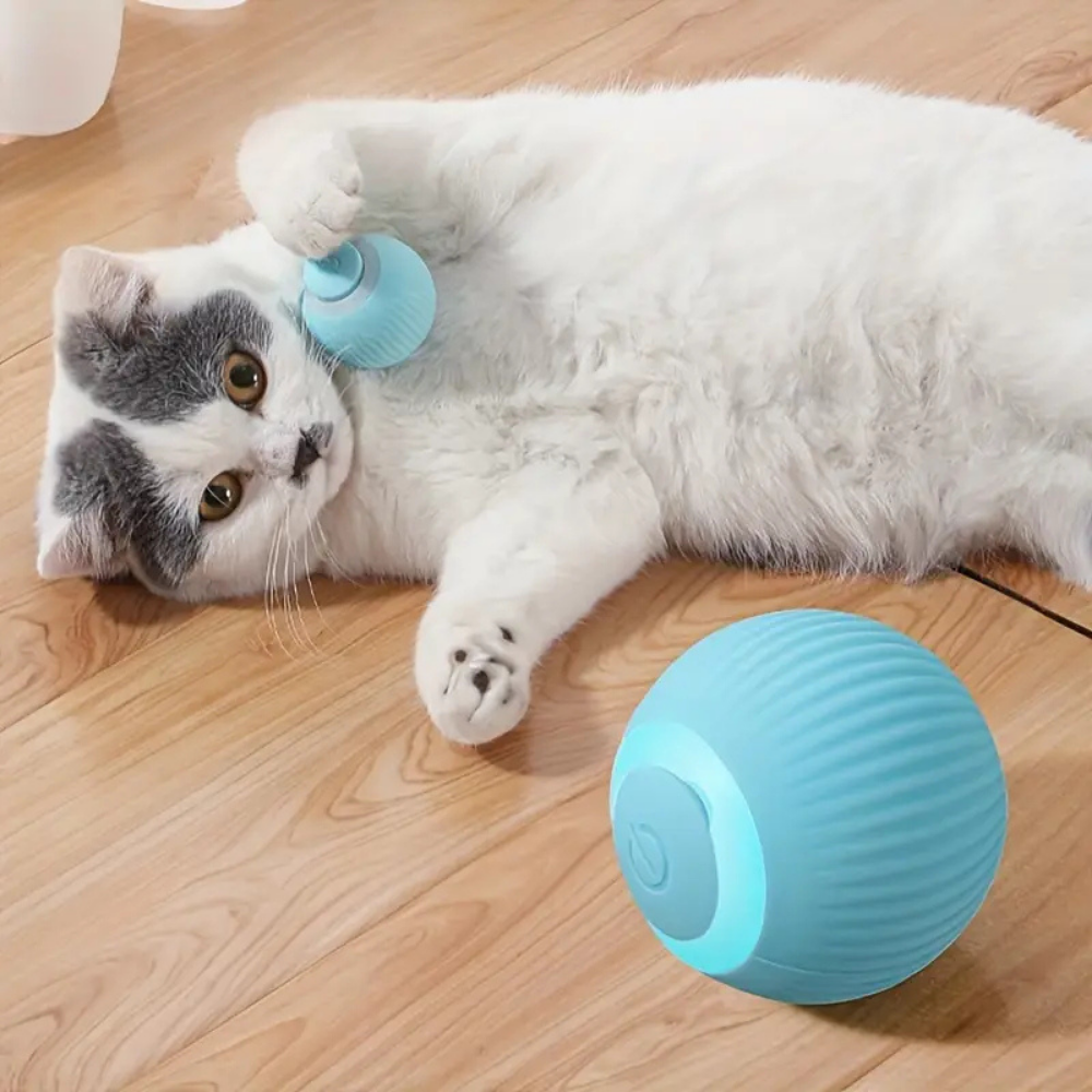 Balle interactive automatique pour chats