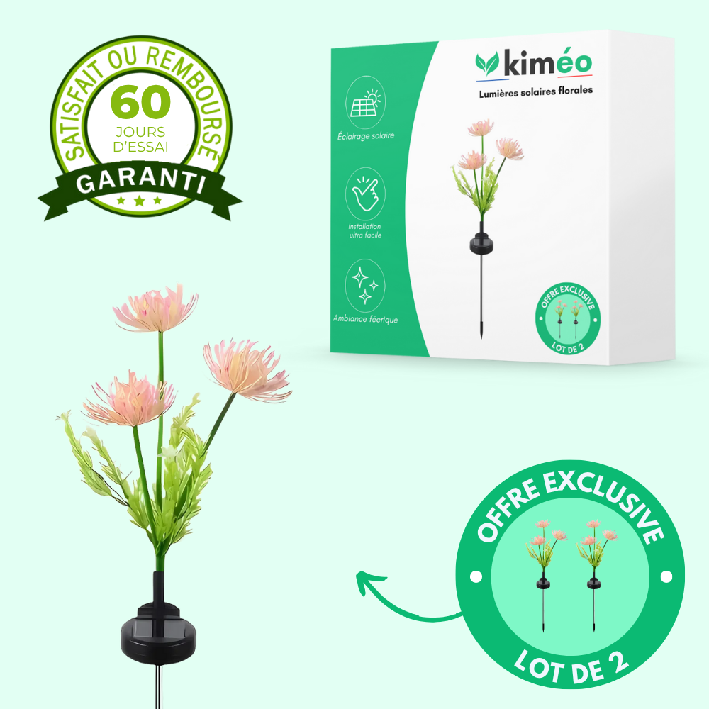 Lumières solaires florales décoratives pour jardin (Lot de 2)