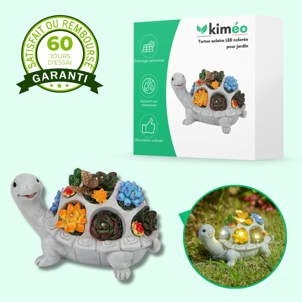 Tortue solaire LED colorée pour jardin