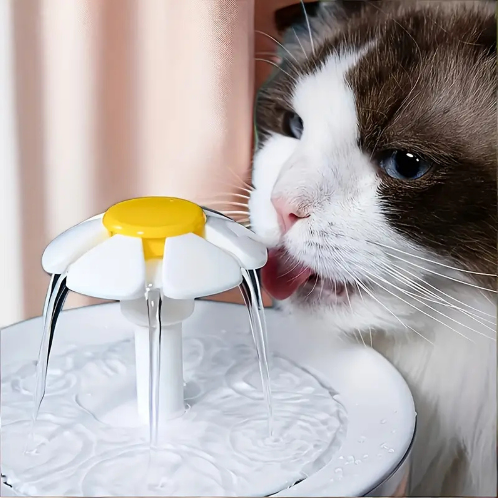 AquaChat - Fontaine filtrante à eau douce pour chats