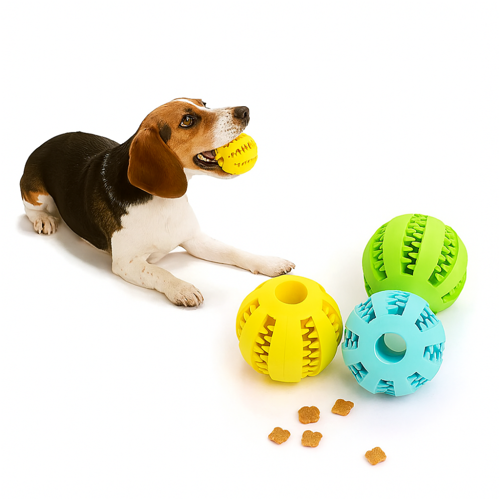Balle en caoutchouc à mâcher pour chien