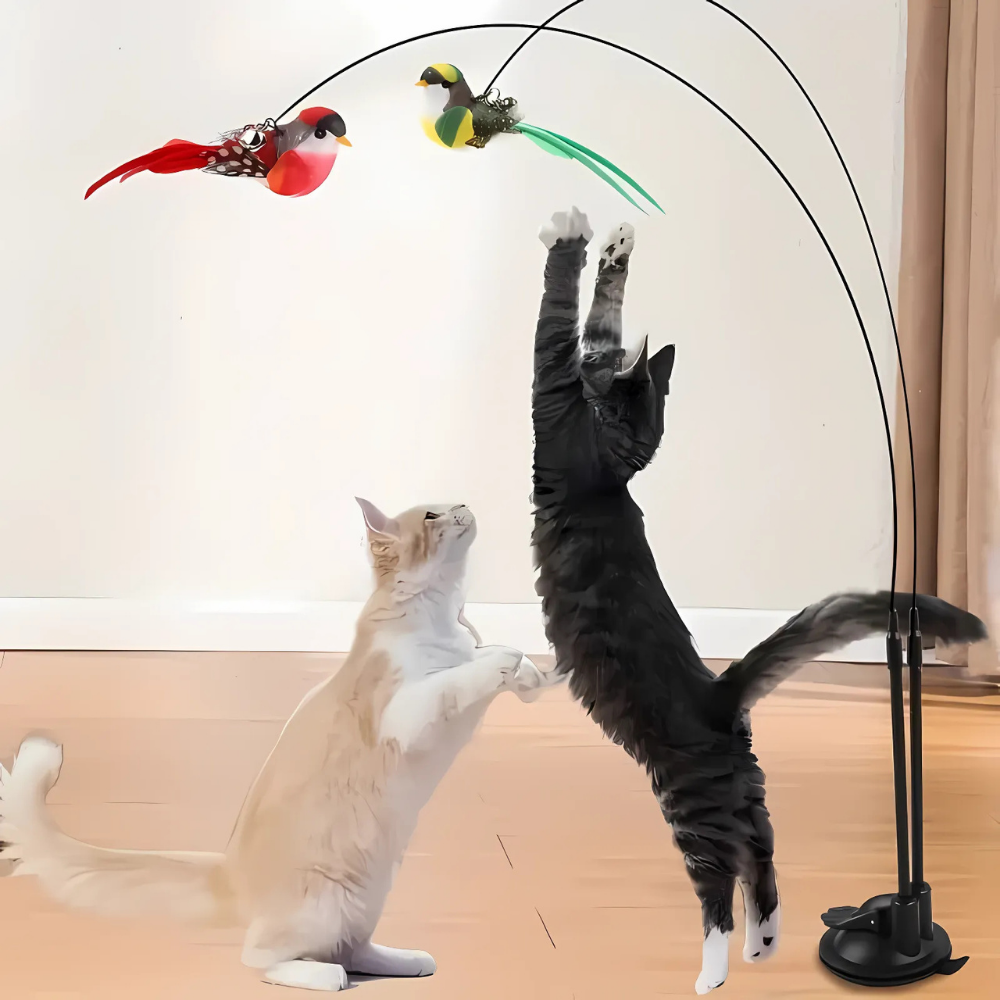 Jouet interactif à oiseau pour chats actifs