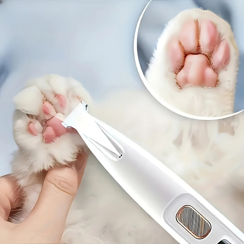 Tondeuse silencieuse multi-zones pour chiens et chats
