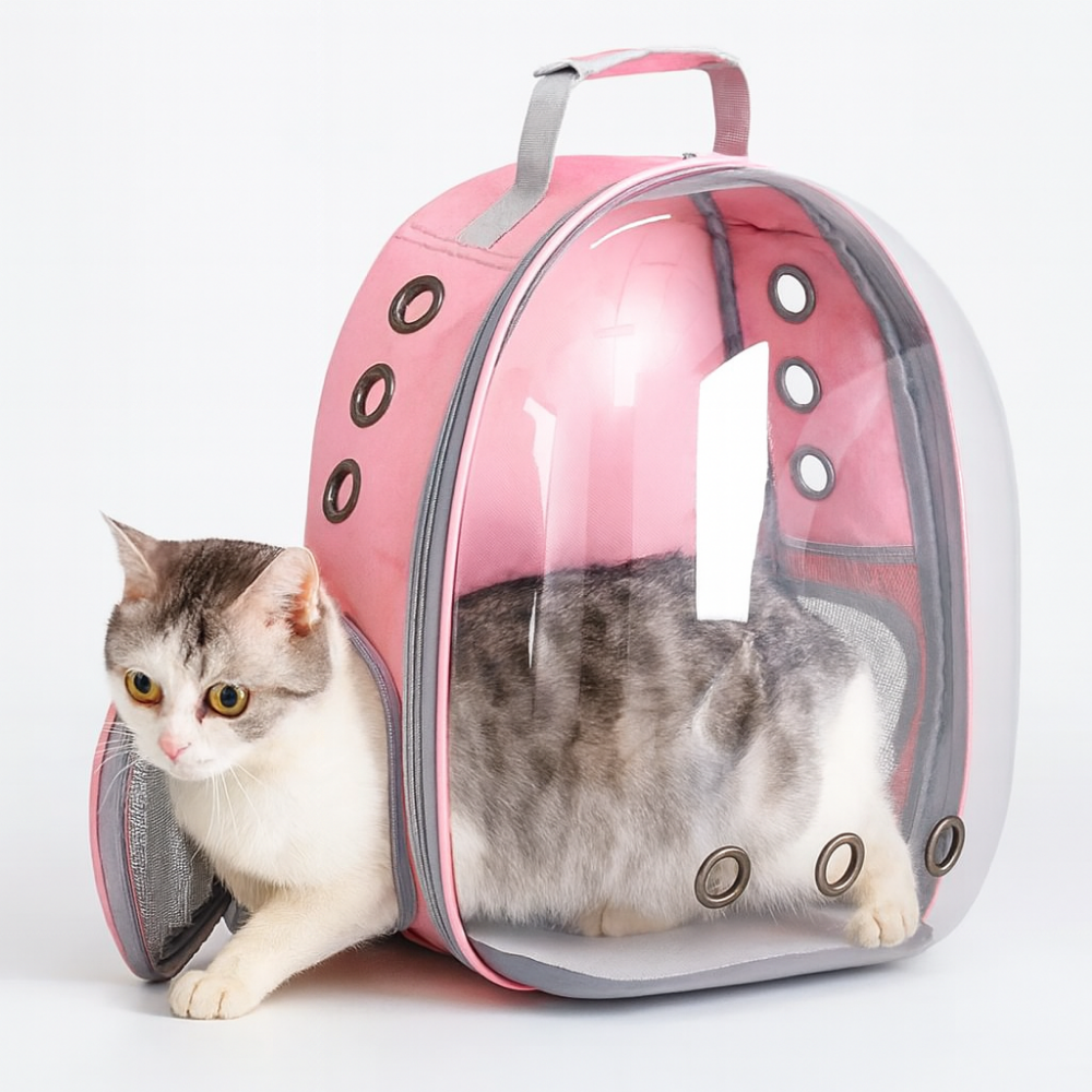 Sac à dos respirant pour chat – Fenêtre transparente et confort de transport