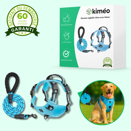 Harnais chien anti-fuite réglable + laisse 1,5 m réfléchissante