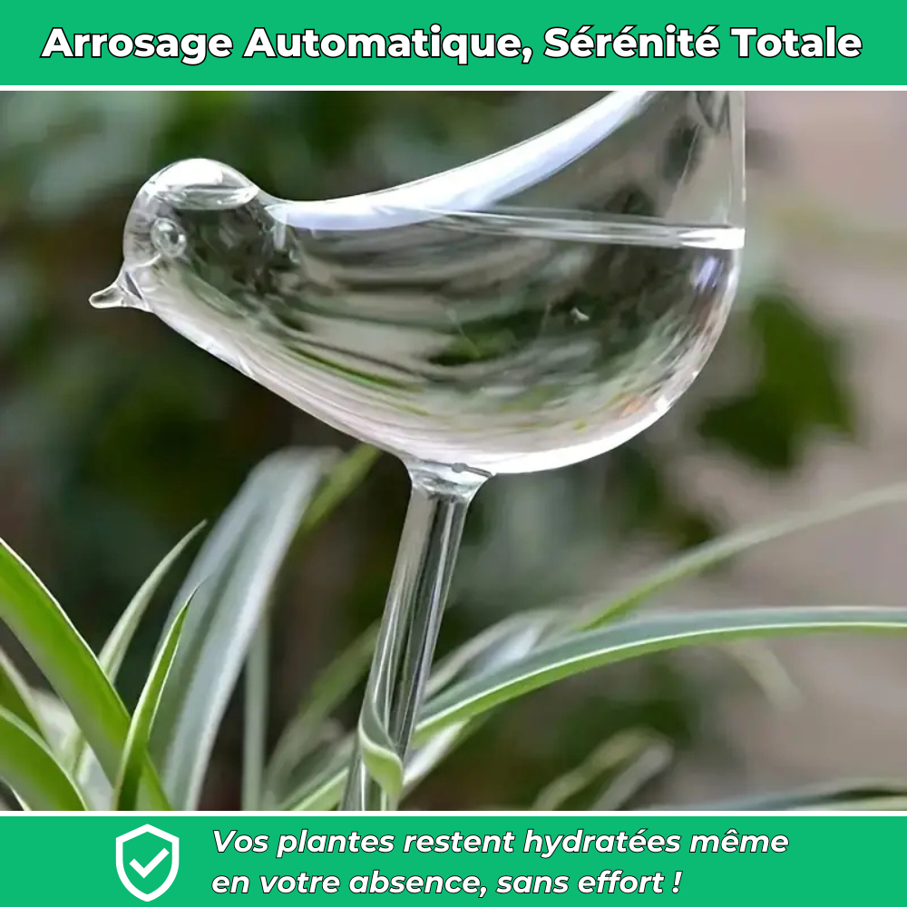 Arrosage automatiques en forme d’oiseau – Hydratation continue pour vos plantes