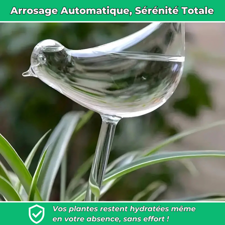 Arrosage automatiques en forme d’oiseau – Hydratation continue pour vos plantes