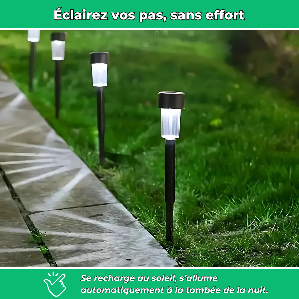 Lot de 10 lampes solaires décoratives pour jardin