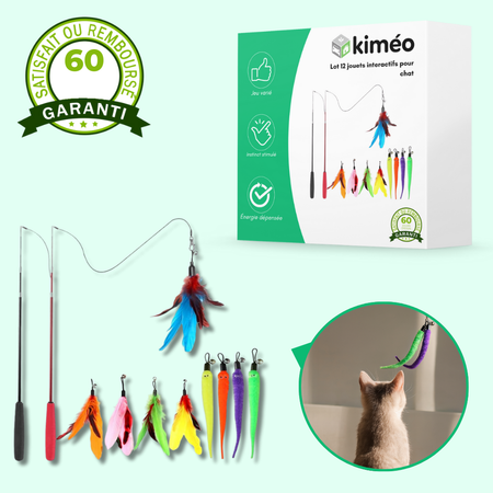 Lot 12 jouets interactifs pour chat avec plumes et bâtons