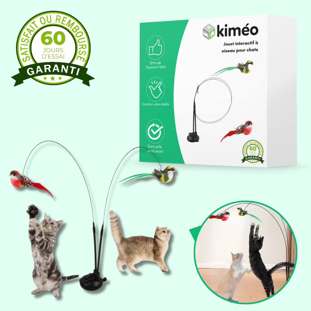 Jouet interactif à oiseau pour chats actifs