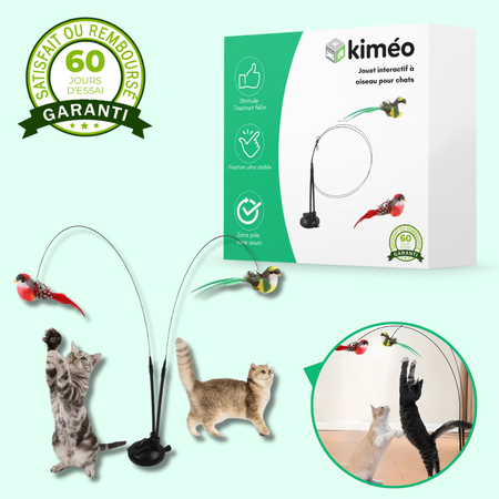 Jouet interactif à oiseau pour chats actifs