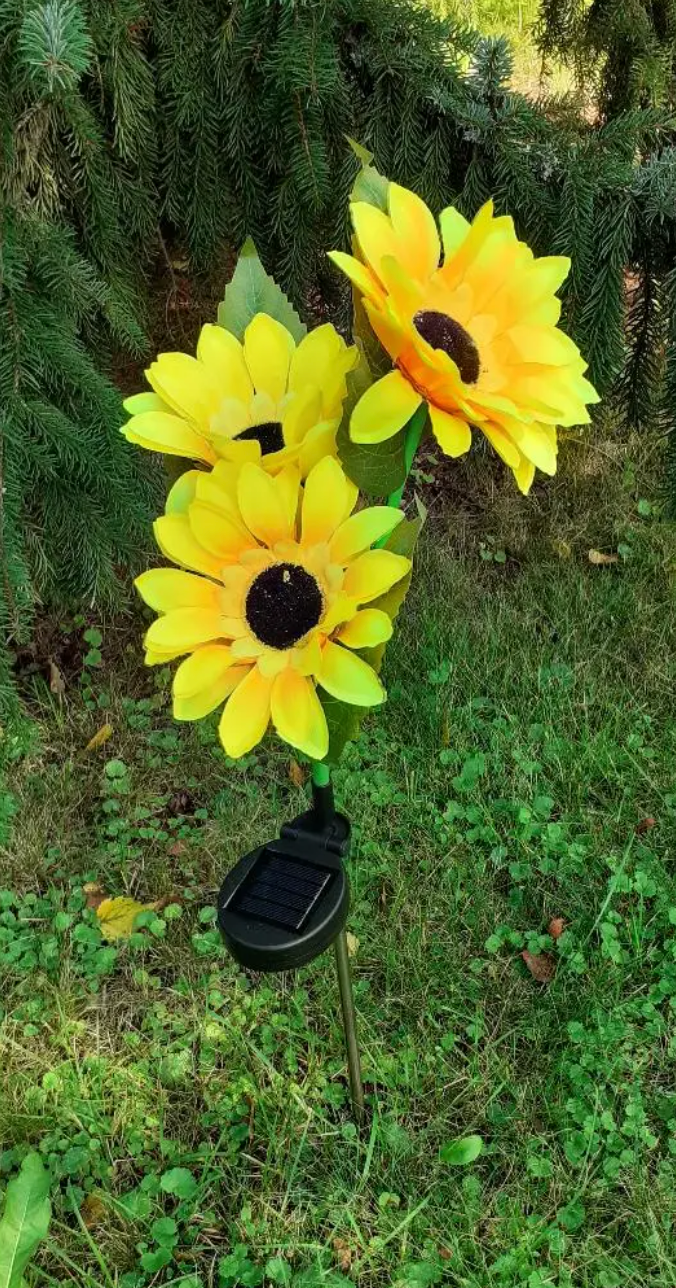 Customer patio review image