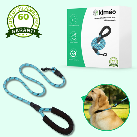 Laisse réfléchissante robuste pour chien – Poignée rembourrée, double traction, sécurité et confort