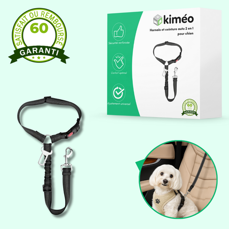 Ceinture de sécurité auto pour chien – Polyester résistant