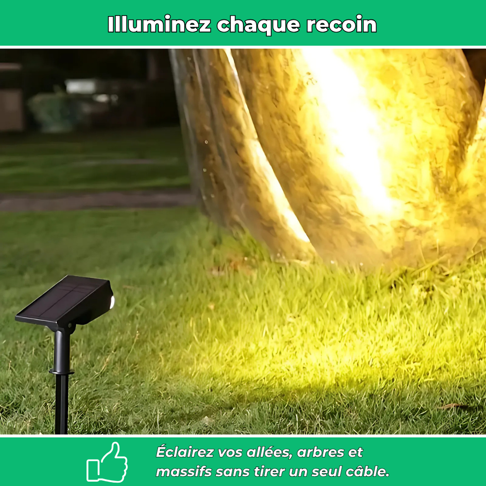 Lot de 4 projecteurs solaires sur piquet pour jardin