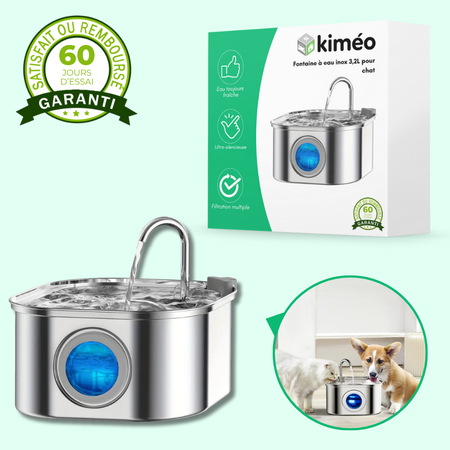 Fontaine à eau en inox 3,2L pour chat – Silencieuse et avec filtre intégré
