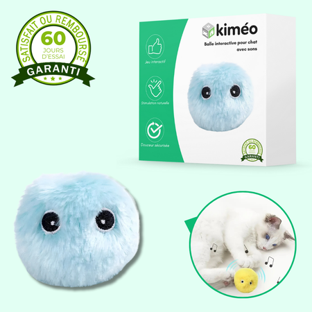 Balle interactive en peluche pour chat – Jouet sonore et éducatif, doux et coloré