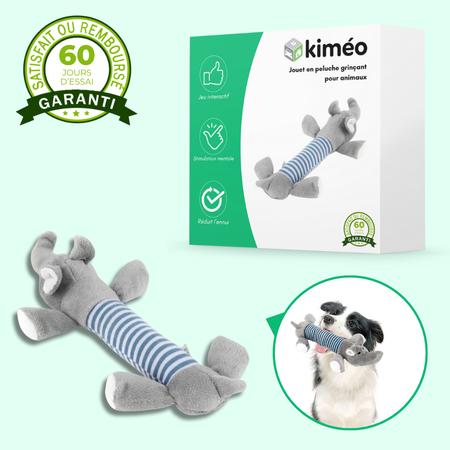 Jouet en peluche grinçant pour animaux