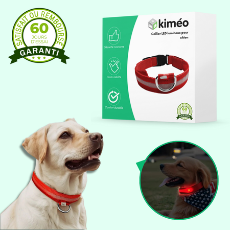 Collier lumineux LED pour chien – Sécurité de nuit et visibilité renforcée