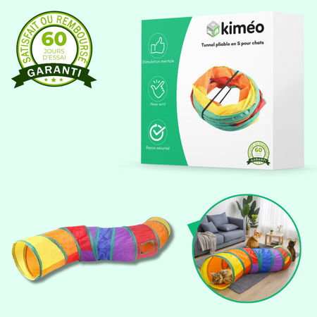 Tunnel de jeu pliable en S avec jouet suspendu pour chats