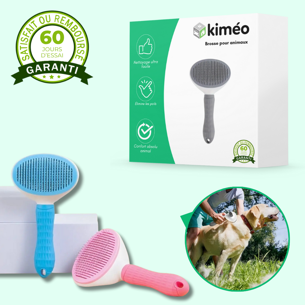 Brosse pour animaux efficace et facile à nettoyer