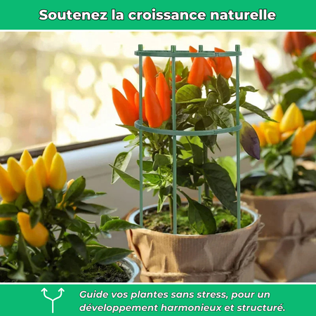 Anneaux de support flexibles pour plantes