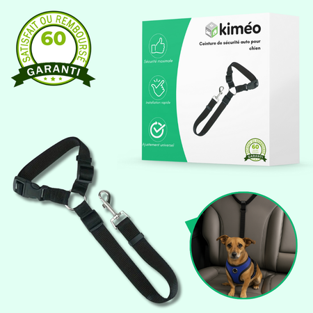 Ceinture de sécurité auto pour chien – Laisse ajustable robuste