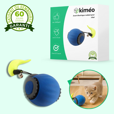 Balle interactive électrique rechargeable pour chat avec plumes et roulement automatique