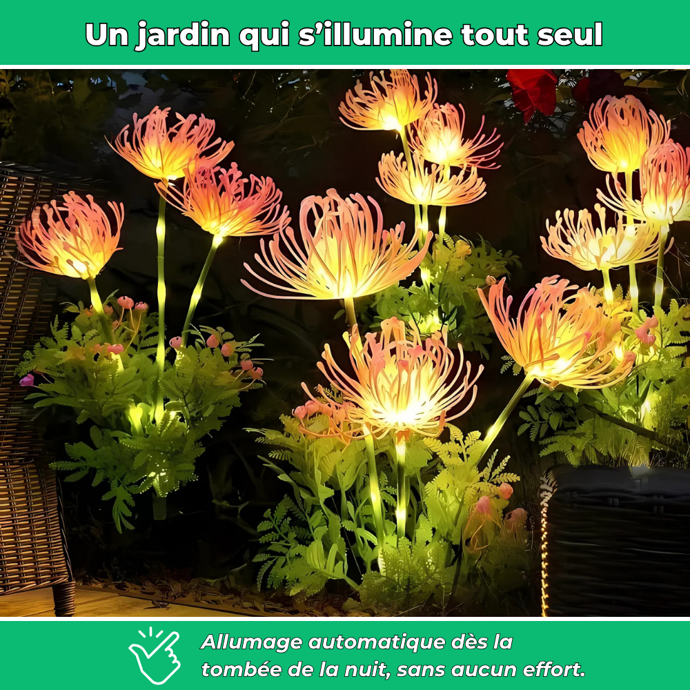 Lumières solaires florales décoratives pour jardin (Lot de 2)