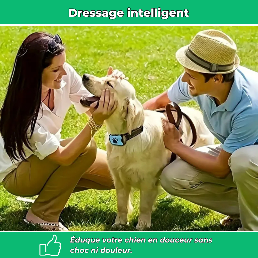 Collier anti-aboiement chien – Intelligent, réglable et rechargeable USB, sans choc