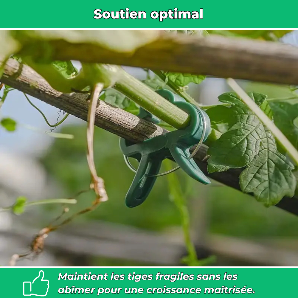 Clip’Vert – 20 attaches de jardin réglables pour tuteur et serre