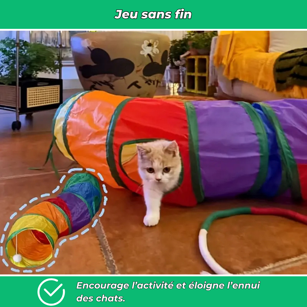 Tunnel de jeu pliable en S avec jouet suspendu pour chats