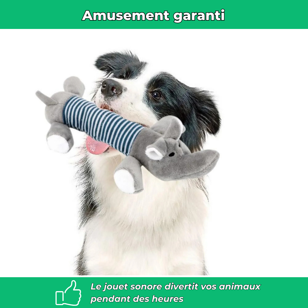 Jouet en peluche grinçant pour animaux