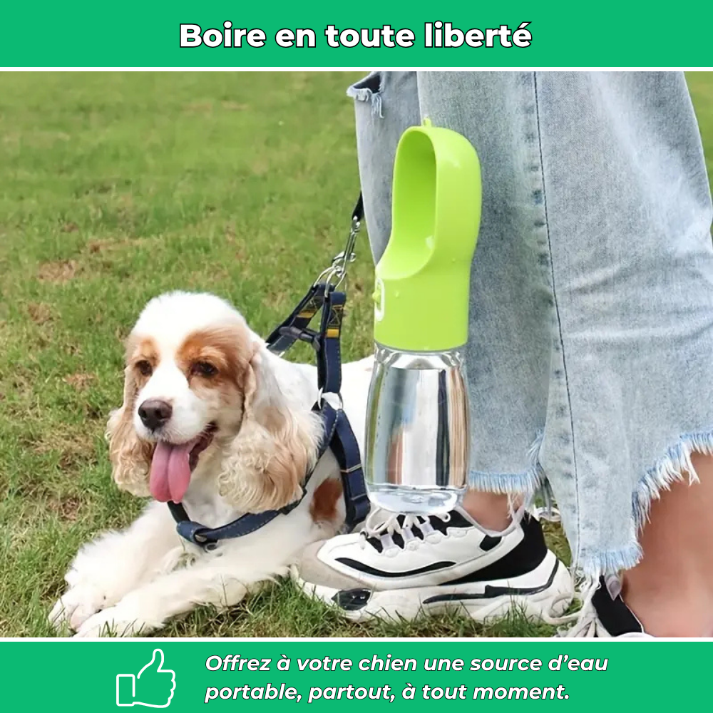 Gourde de voyage avec bol intégré pour chien