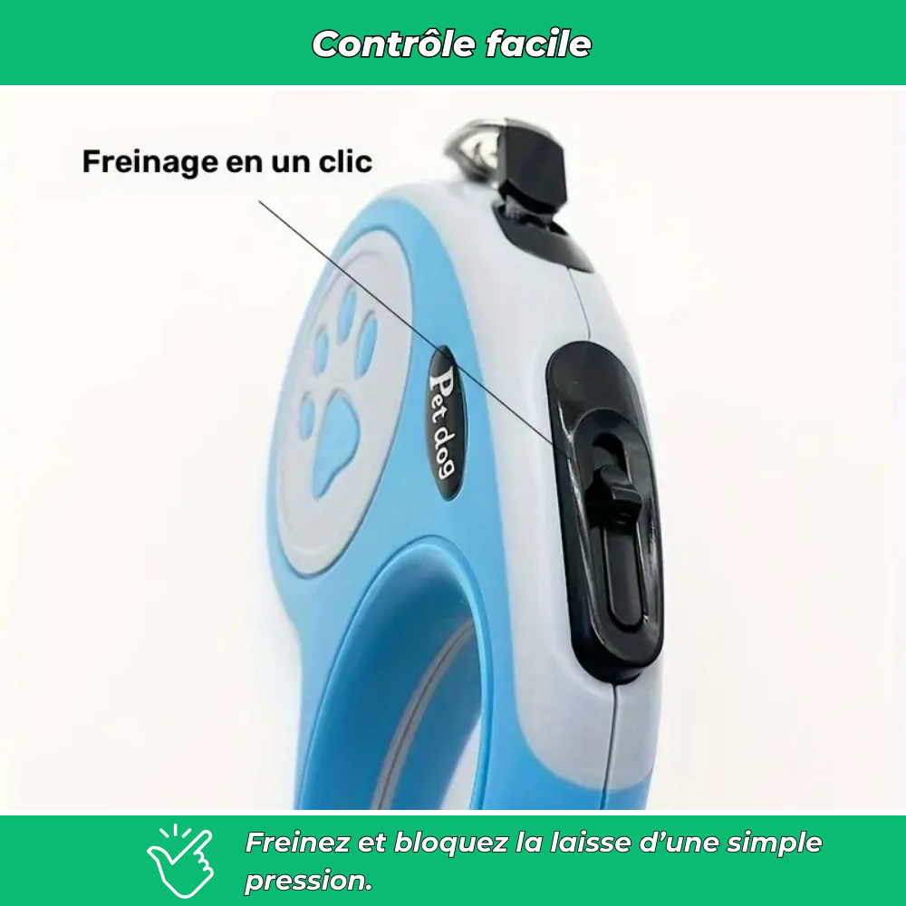 Laisse rétractable pour chien – Nylon durable avec frein à un bouton, idéale petits et moyens chiens