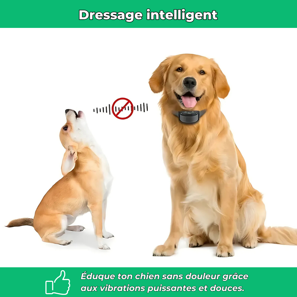 Collier anti-aboiement chien – Automatique, à vibration puissante, réglable et rechargeable USB, sans choc