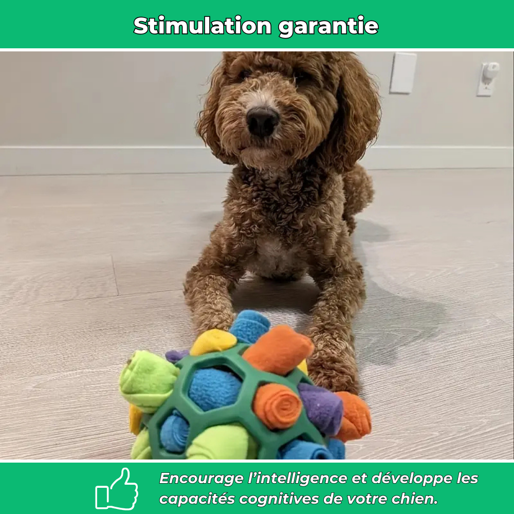 Balle distributrice de friandises pour chien – Jouet interactif et éducatif