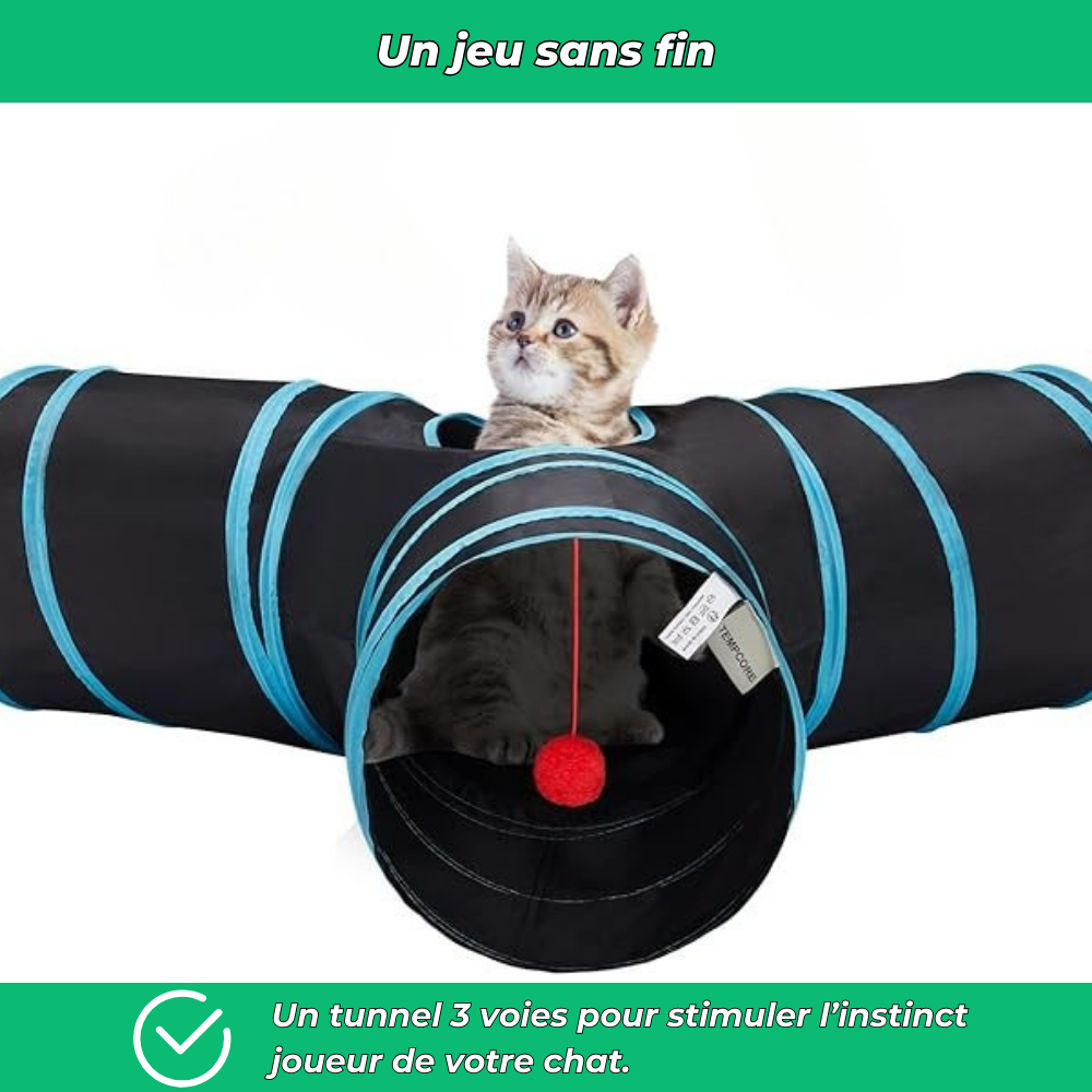 Tunnel interactif pliable 3 voies avec jouet pour chats