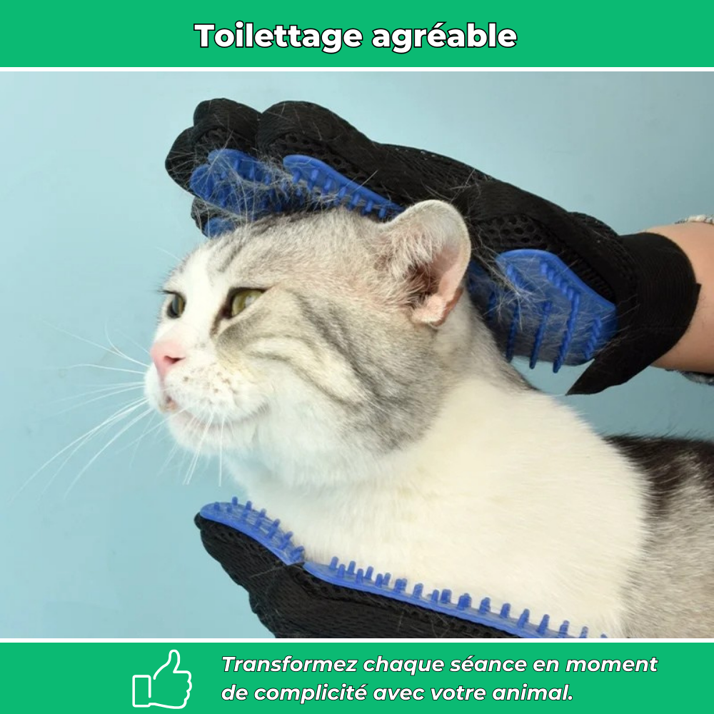 Gants de toilettage pour chiens et chats – Éliminent poils morts et massent la peau
