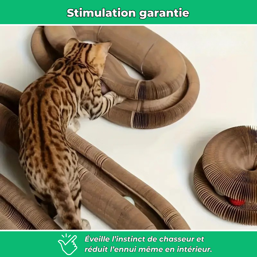 Griffoir en carton modulable et jouet d’intérieur
